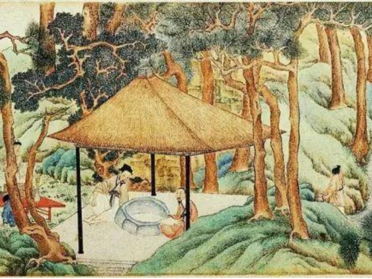 茶叶中的科学：2025年最值得收藏的春茶科普指南