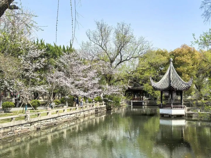 苏州的“校花”，美翻了！