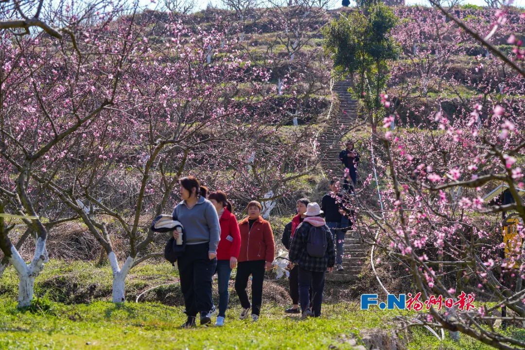 春季高发！福州这类人出门请注意……