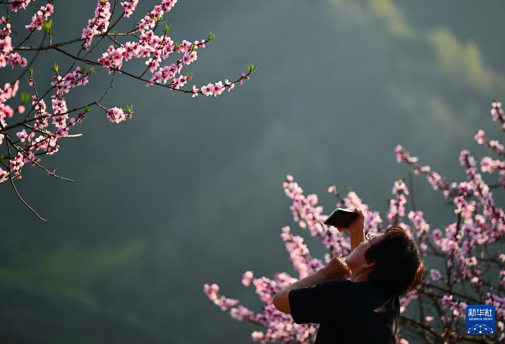 安徽歙县：花满山野春意浓