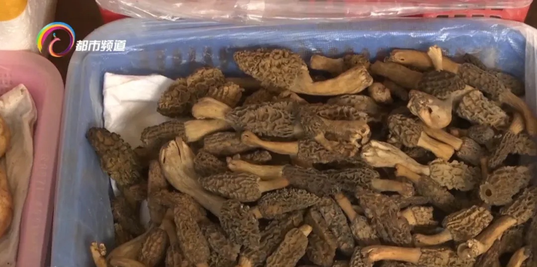味道像鸡枞，价格很便宜！这种野生菌已上市