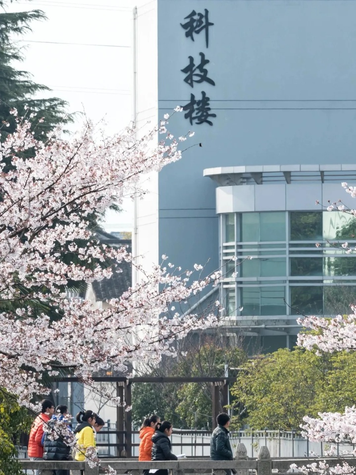 苏州的“校花”，美翻了！