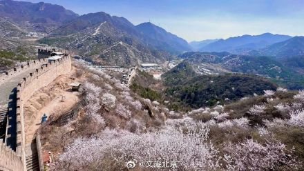 惊艳全网！“花海列车”S2线正美！打卡攻略来啦