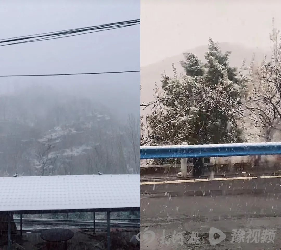 下雪了！河南多地突降春雪，网友纷纷晒图