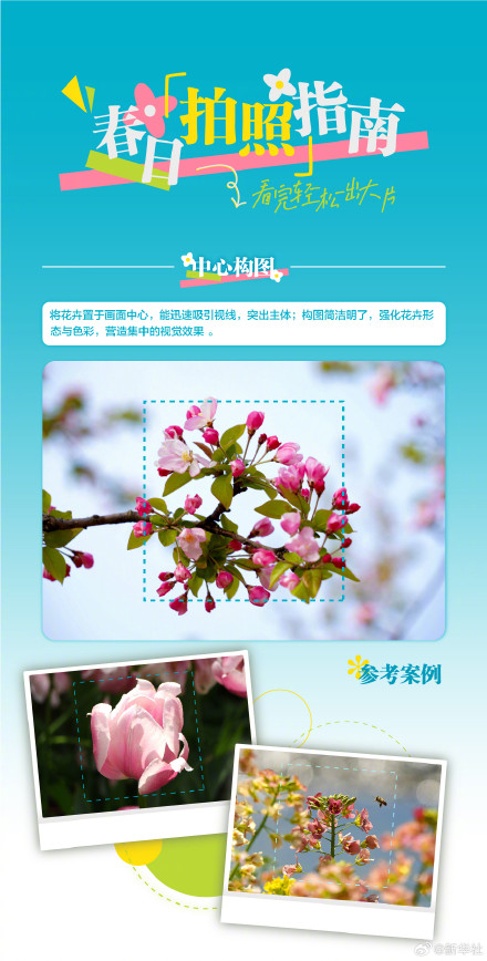 实用转存！春天踏青拍花花技巧