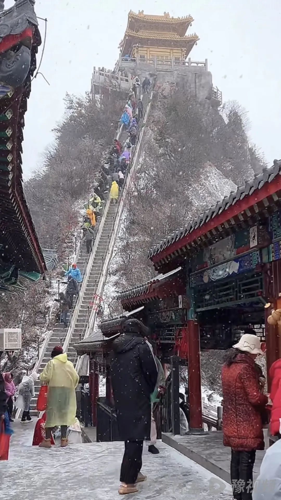 下雪了！河南多地突降春雪，网友纷纷晒图