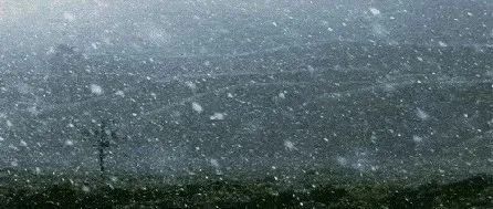 雨雪+降温12℃+大风！寒潮已抵达，河北未来三天……