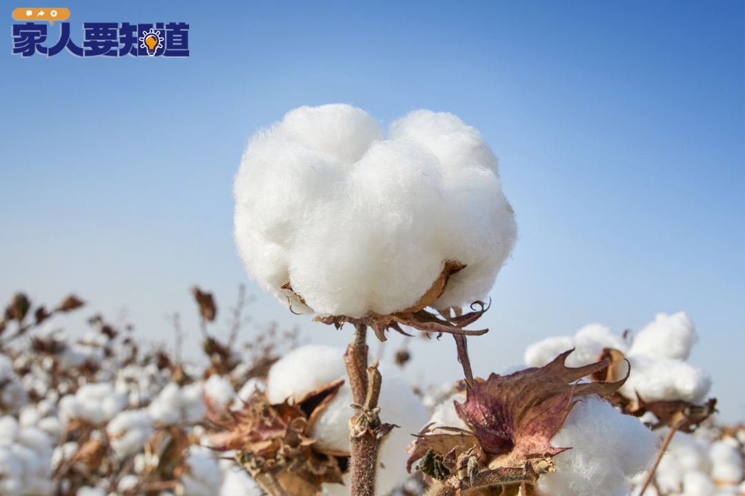 “背刺了！”仅一字之差，有人“烂脸”！很多人天天用