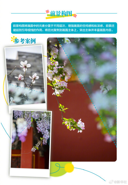 实用转存！春天踏青拍花花技巧