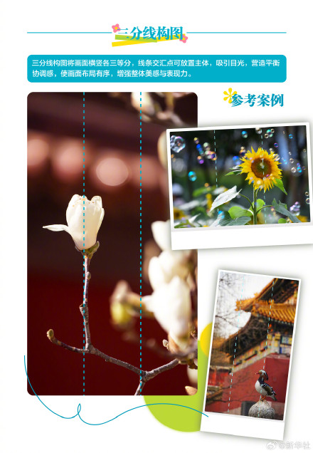 实用转存！春天踏青拍花花技巧