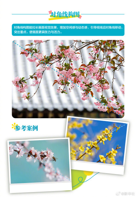 实用转存！春天踏青拍花花技巧