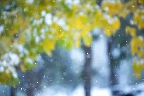 雨雪+降温12℃+大风！寒潮已抵达，河北未来三天……