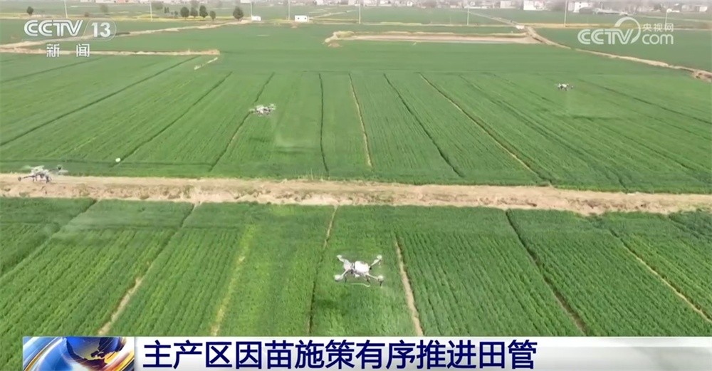 各地因苗施策绘就一幅幅“科技春耕图” 全国已春播粮食超3500多万亩