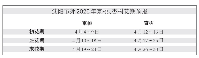 沈阳持续降温！周末将迎气温反弹！
