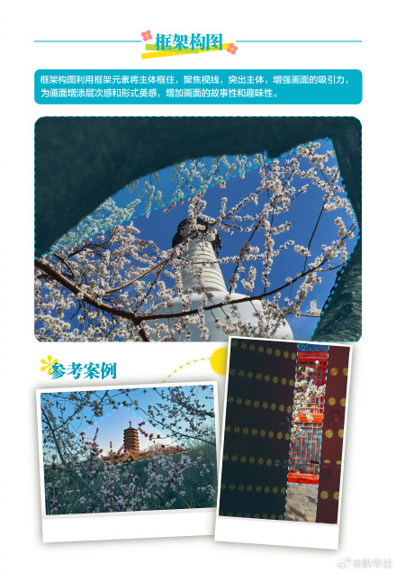 实用转存！春天踏青拍花花技巧