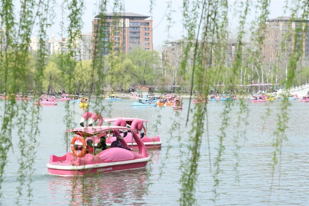 免费搭乘!玉渊潭公园赏樱接驳车即将上线→ 免费搭乘!玉渊潭公园赏樱接驳车即将上线→