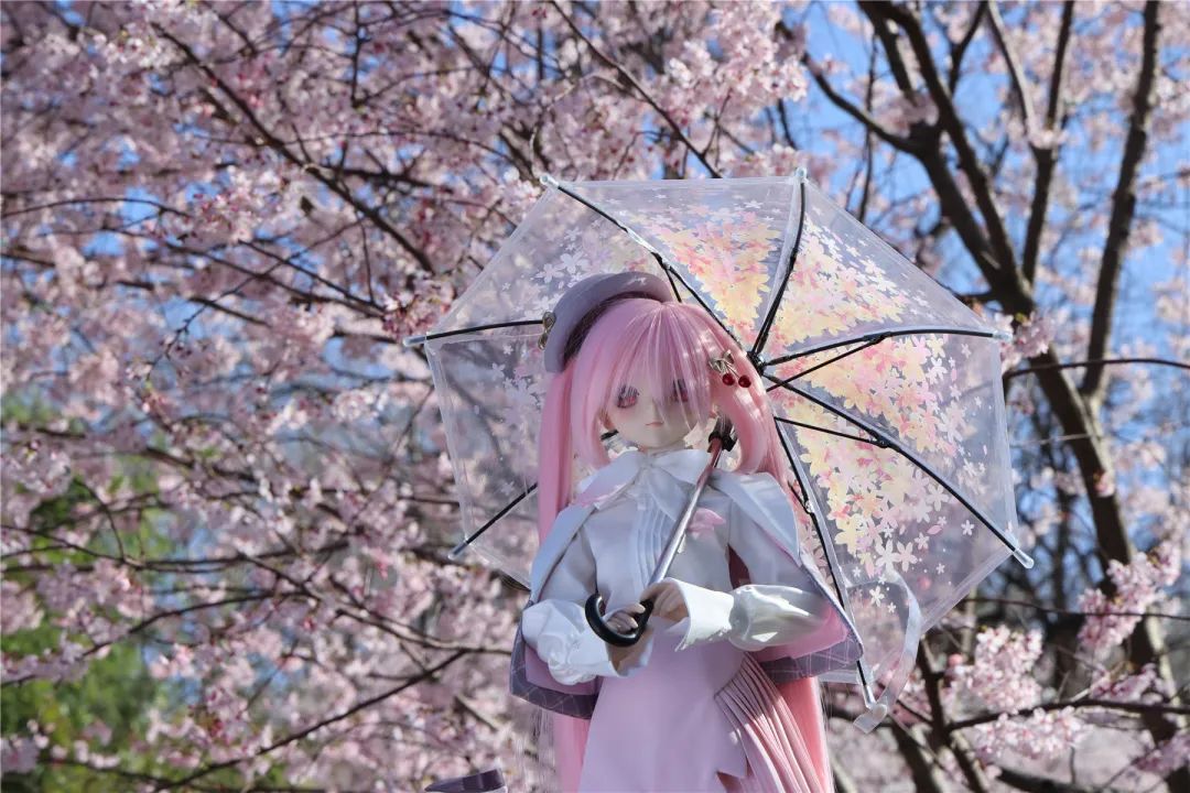 免费搭乘!玉渊潭公园赏樱接驳车即将上线→ 免费搭乘!玉渊潭公园赏樱接驳车即将上线→