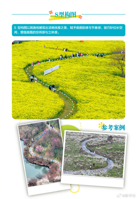 实用转存！春天踏青拍花花技巧