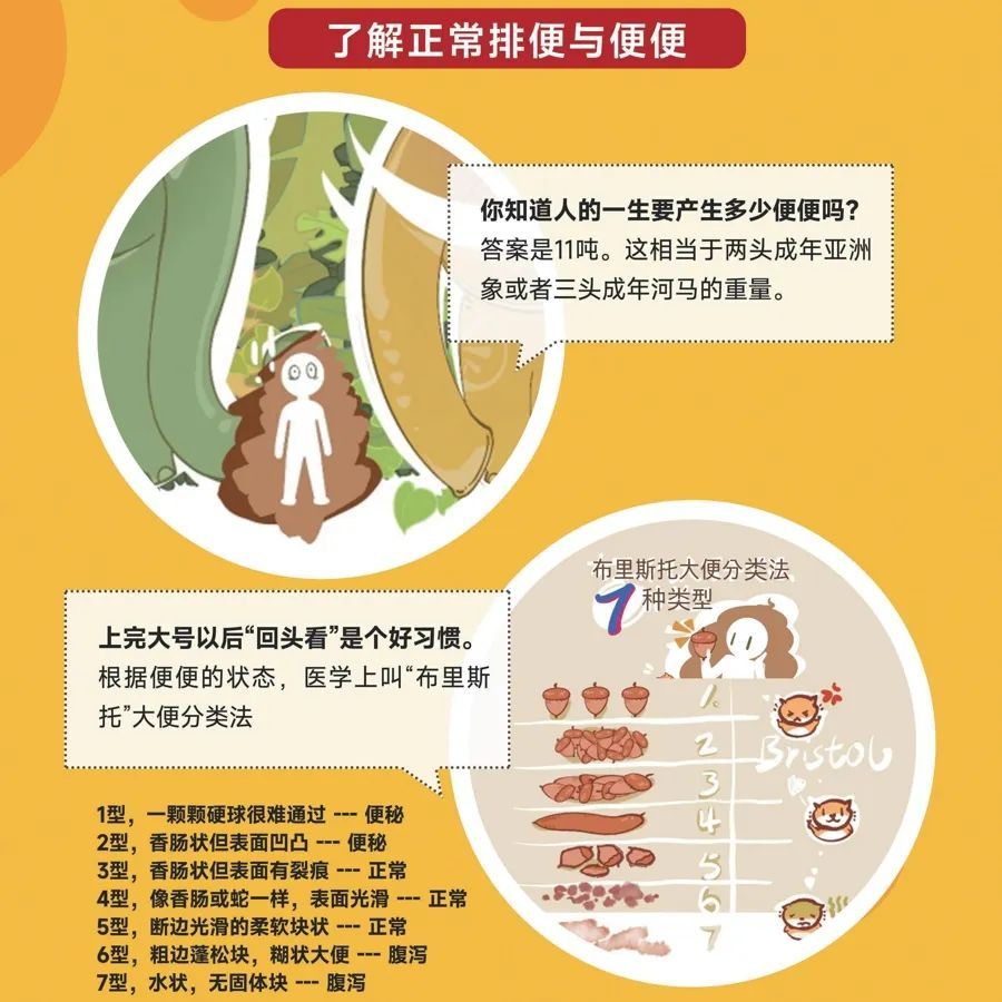 你常在马桶上挣扎吗？便秘不是小事，快转发给那个总说“我再憋一会儿”的朋友