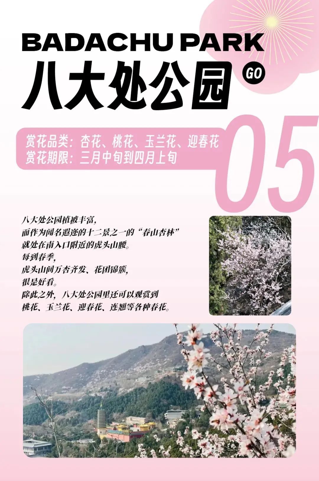 超全！2025石景山追花春游日历来喽~