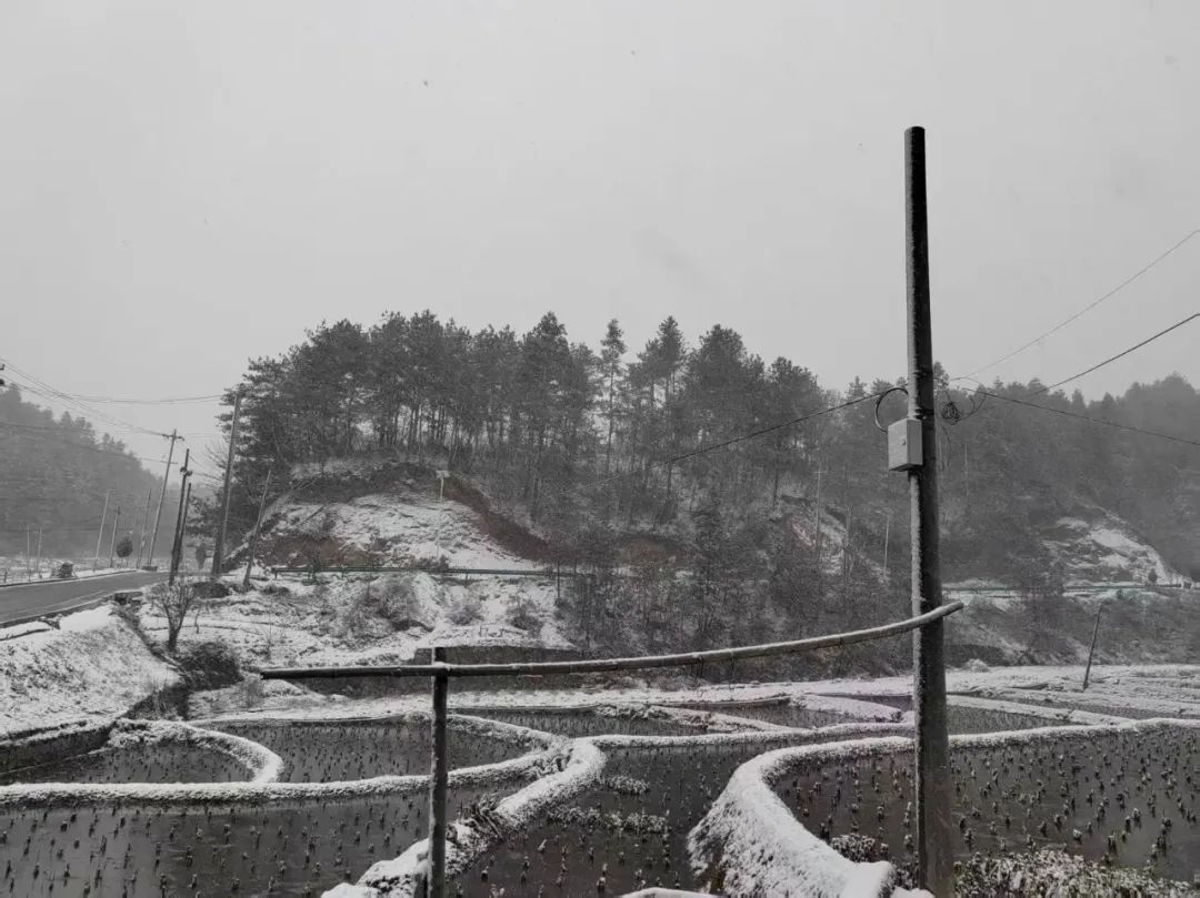 安徽多地下雪了! 安徽多地下雪了!