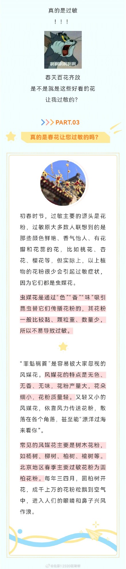 又开始打喷嚏、鼻塞流涕……过敏季节怎么办？