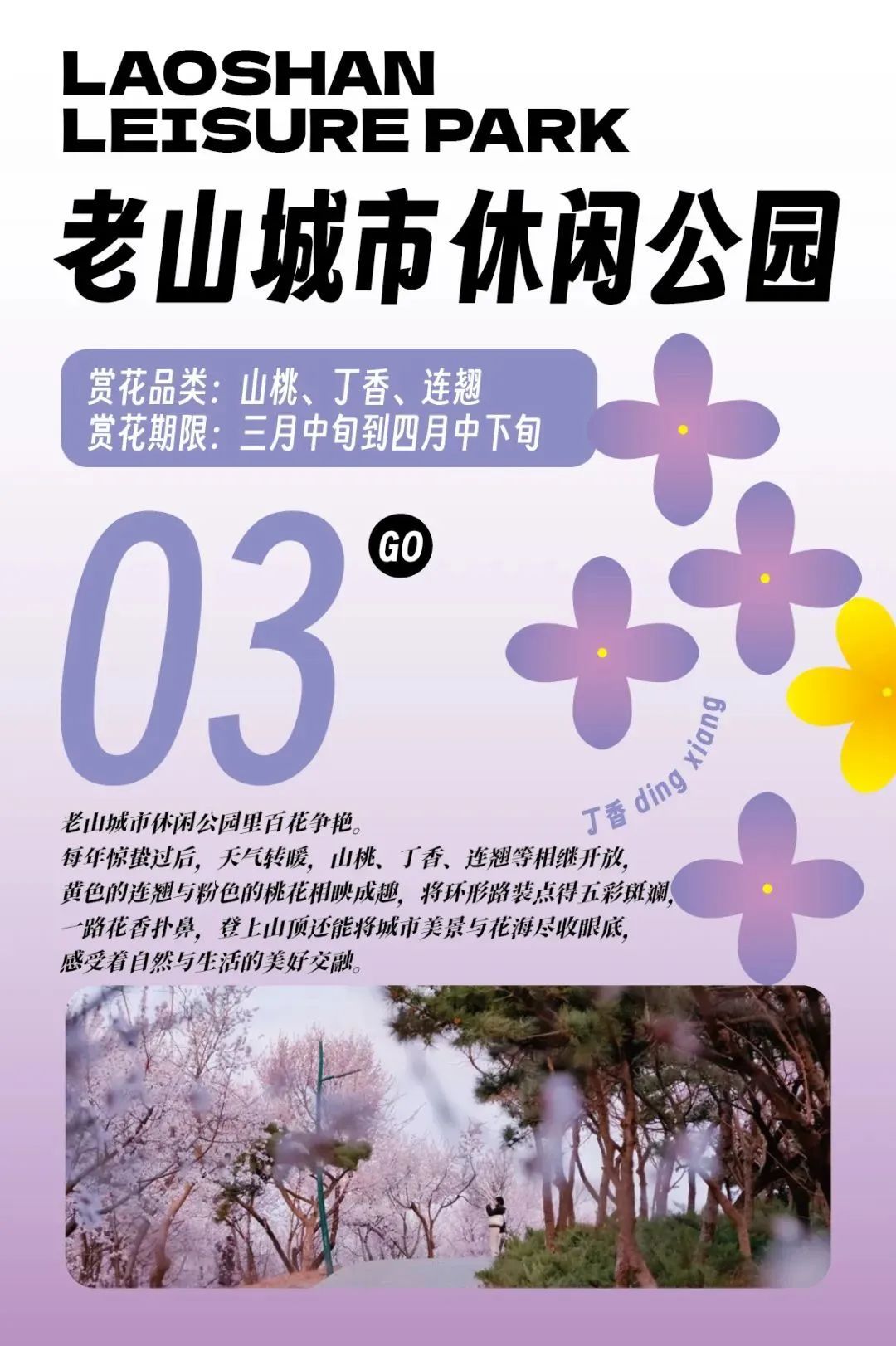超全！2025石景山追花春游日历来喽~