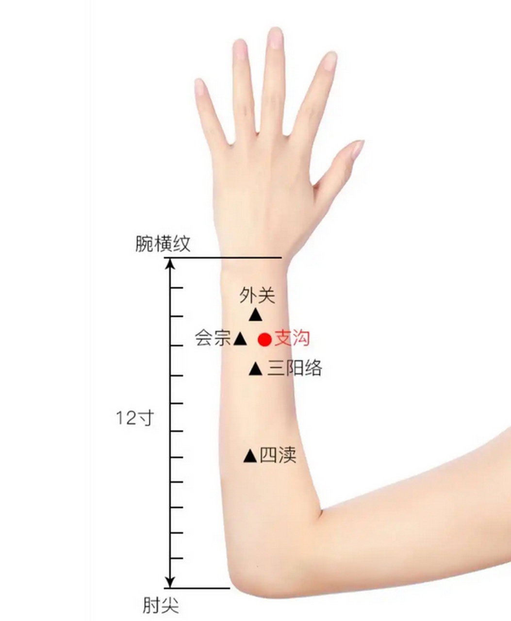 你常在马桶上挣扎吗？便秘不是小事，快转发给那个总说“我再憋一会儿”的朋友