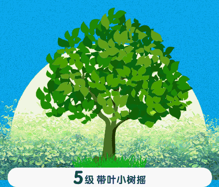 长沙今天的风有多大？一图教你轻松分辨