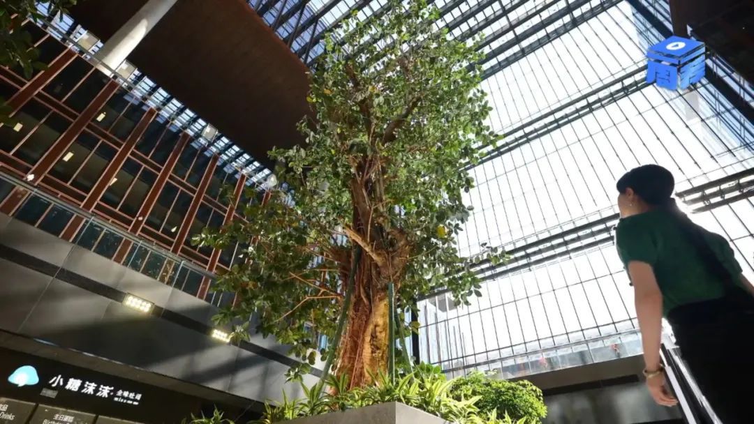 国图书店，解锁“空中花园”里的阅读自由 | 一周一荐