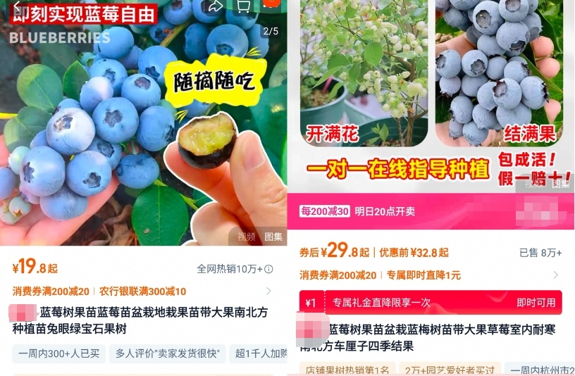 春天一到，“种菜DNA”又动了……