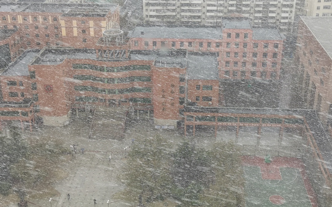 天津又下雪又下雨啦！