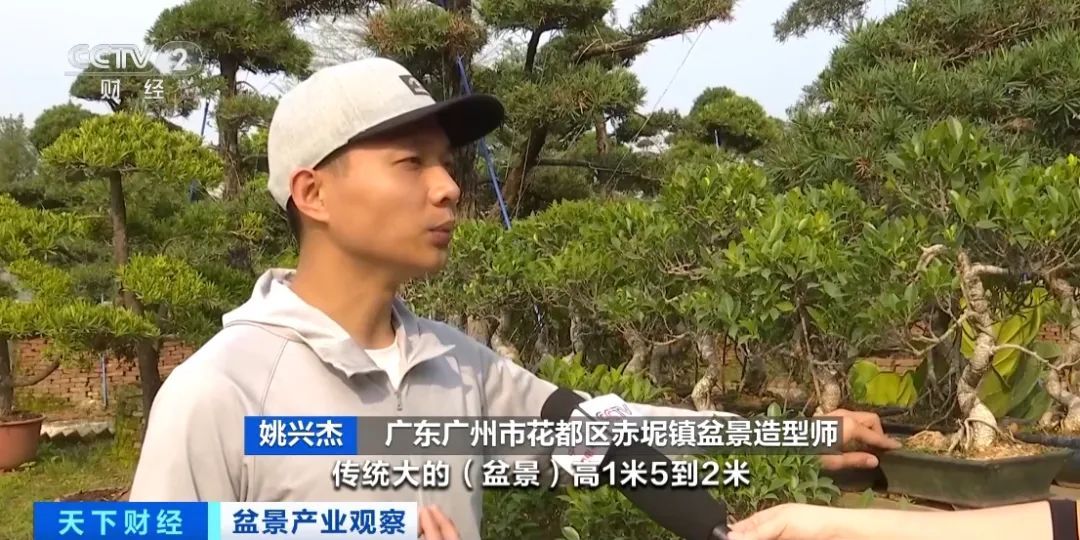 春天一到，“种菜DNA”又动了……