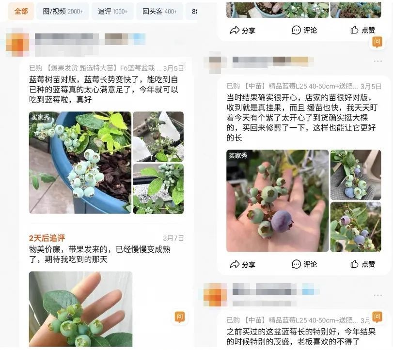 春天一到，“种菜DNA”又动了……