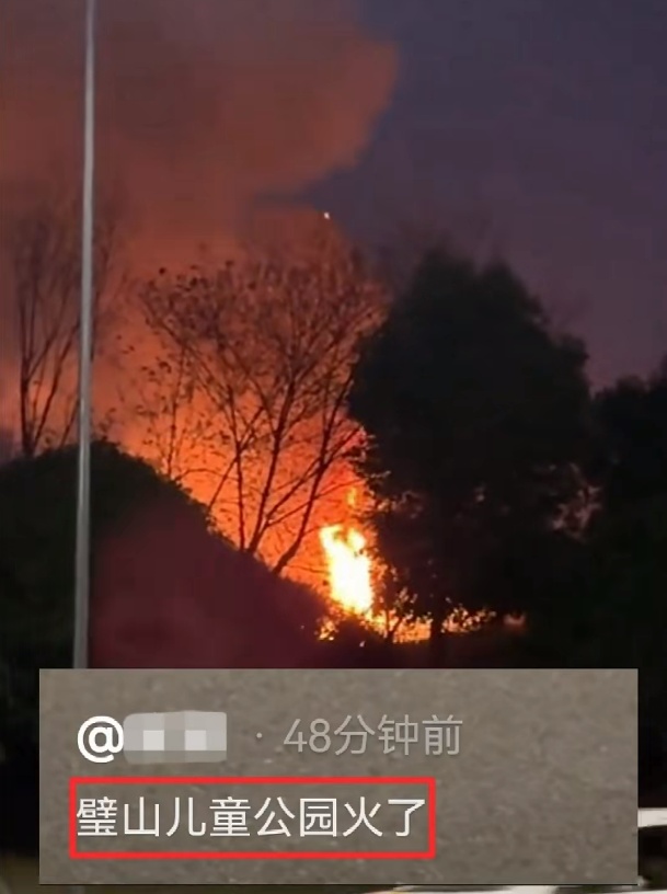 “重庆璧山儿童公园着火了”？当地回应
