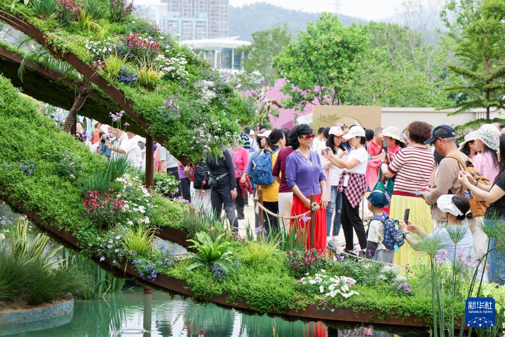 2025粤港澳大湾区花园大赛开幕