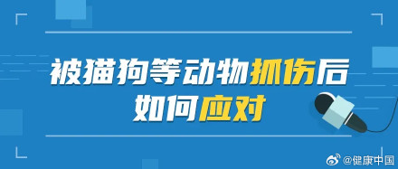被猫狗抓伤后，这些救命操作速看！