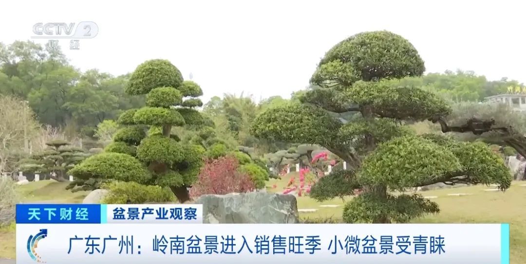 春天一到，“种菜DNA”又动了……