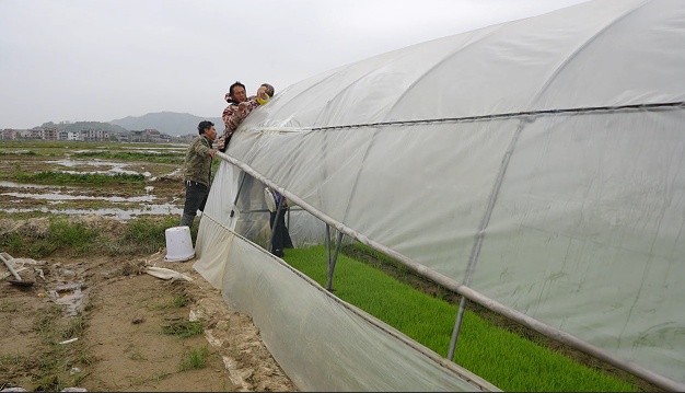 江西：大风降温影响生产 各地积极应对