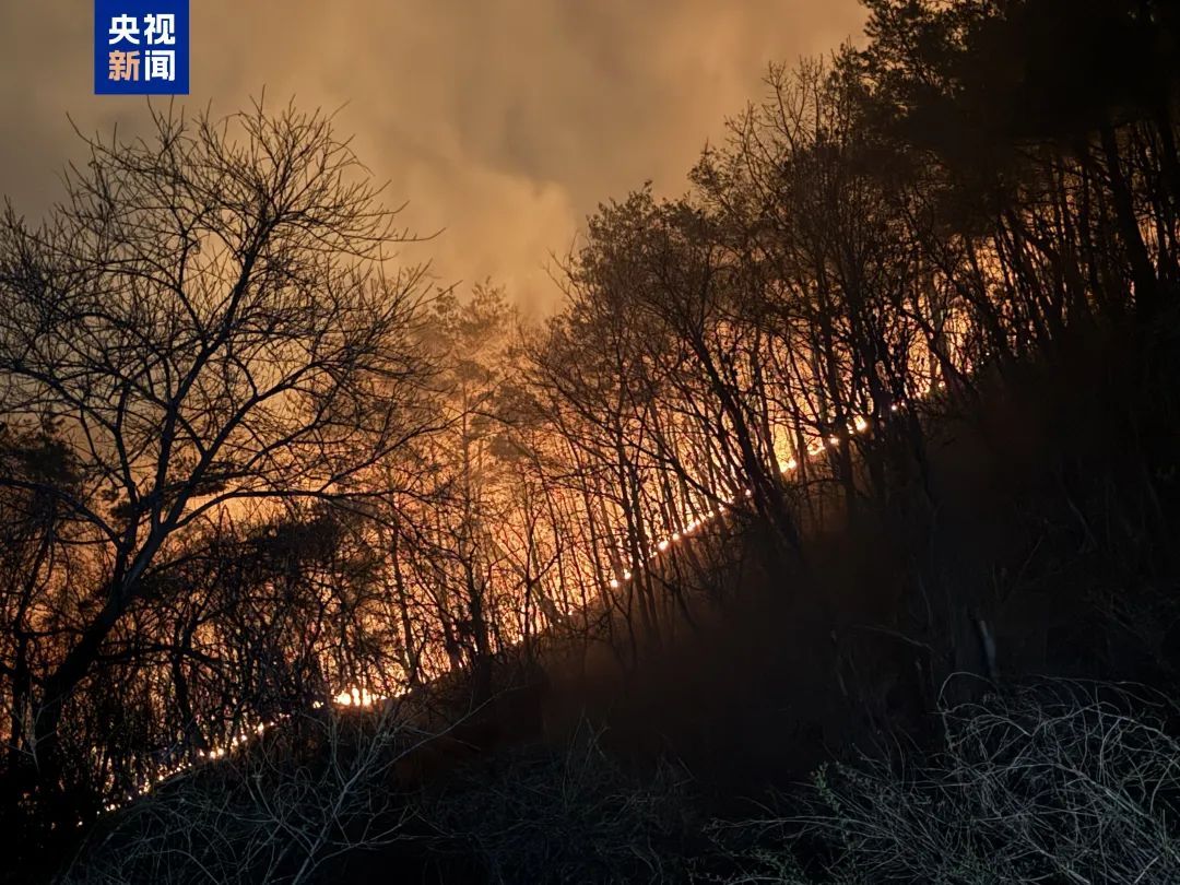 直升机坠毁！飞行员确认遇难！山火已致28人死亡