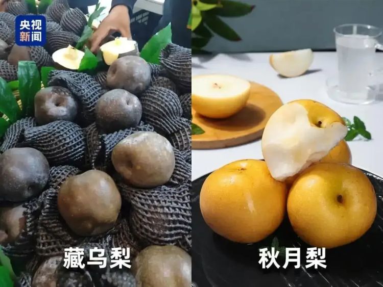 水果界的“大忽悠”，你可买过？