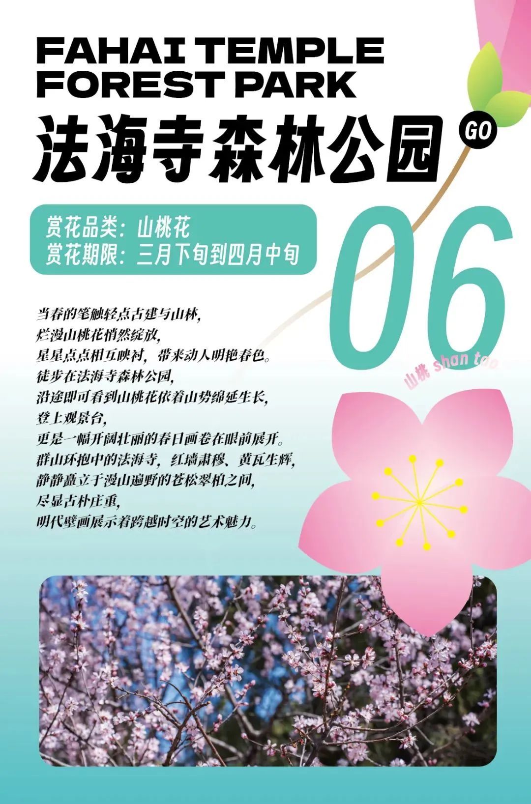 超全！2025石景山追花春游日历来喽~