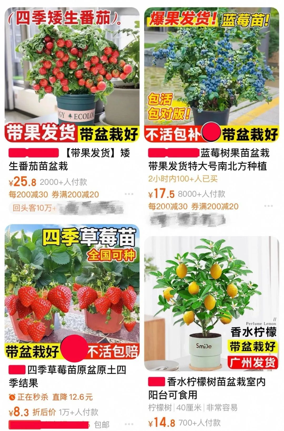 春天一到，“种菜DNA”又动了……