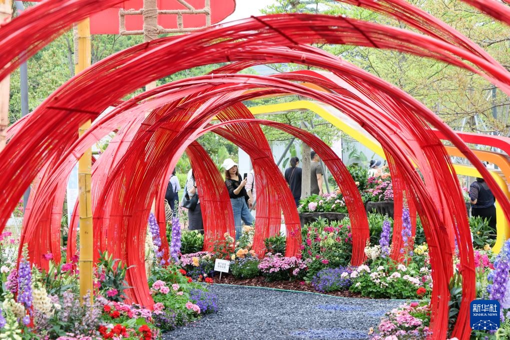 2025粤港澳大湾区花园大赛开幕