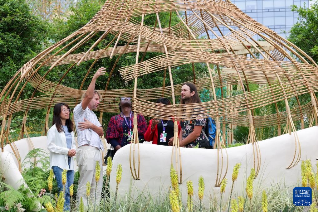 2025粤港澳大湾区花园大赛开幕