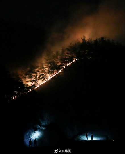 韩国山火死伤人数升至65人 韩国山火死伤人数升至65人