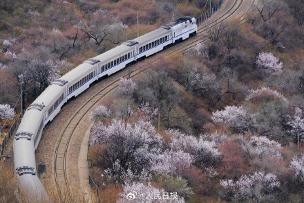收藏！开往春天的列车最新画面