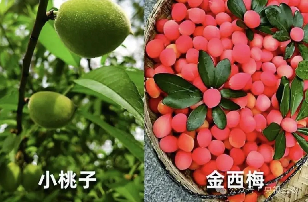 盘点果蔬界的多个“大忽悠”，注意避坑！