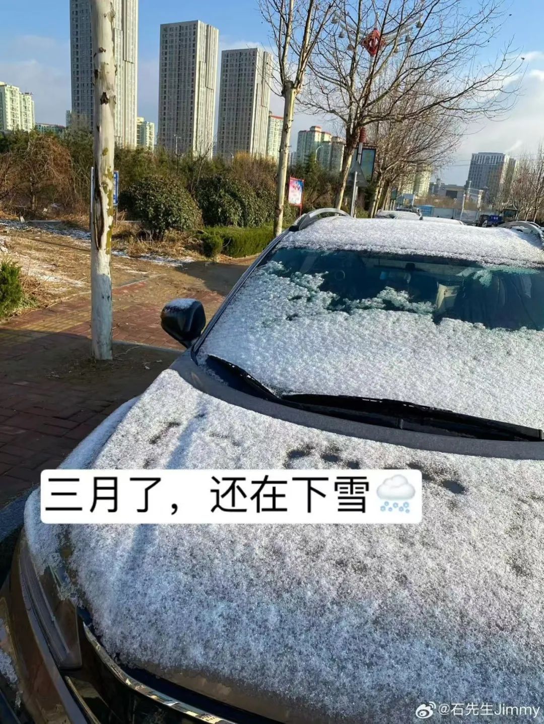 烟台下雪了！下周将回暖，最高21℃！
