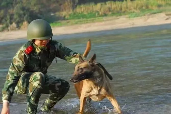 “爸爸，你疼吗？”